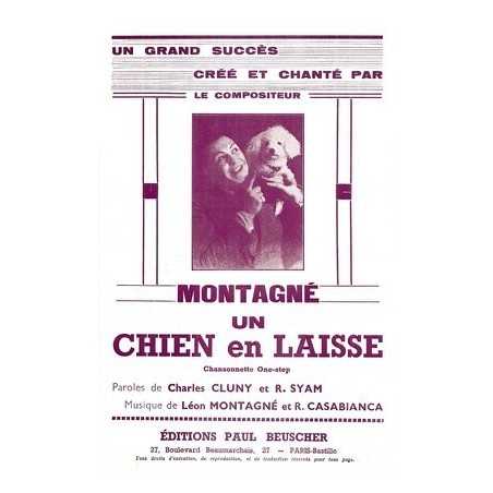 UN CHIEN EN LAISSE