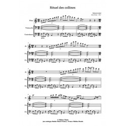 Sheet music RITUEL DES COLLINES Naïssam JALAL pdf