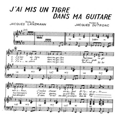 J'AI MIS UN TIGRE DANS MA GUITARE