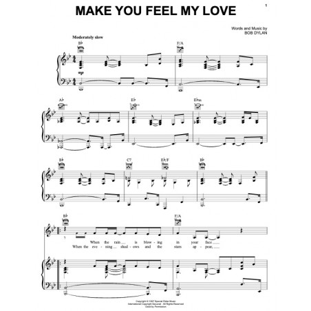 MAKE YOU FEEL MY LOVE