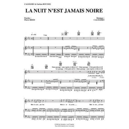LA NUIT N'EST JAMAIS NOIRE
