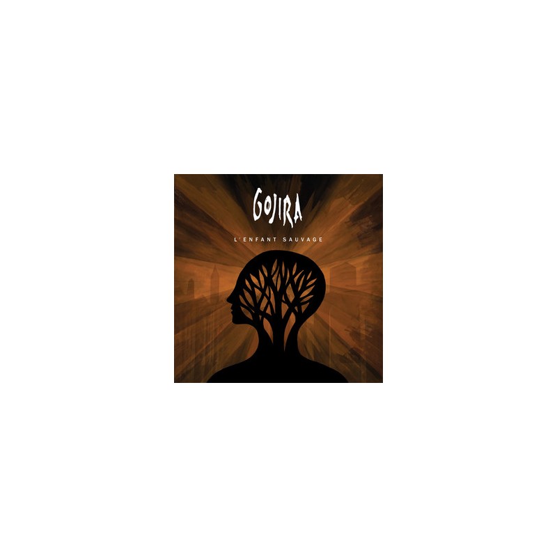 Partition THE WILD HEALER Gojira pdf
