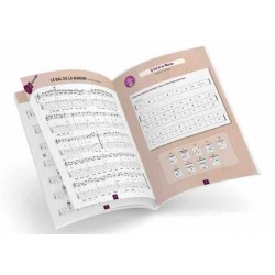 ASTUCES DE LA GUITARE MANOUCHE VOL.3 Denis Roux