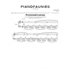 Partition PIANOFAUNIES Damien Guille