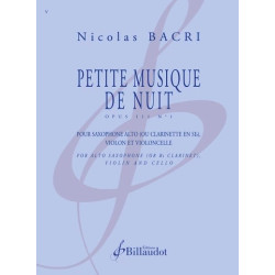 PETITE MUSIQUE DE NUIT