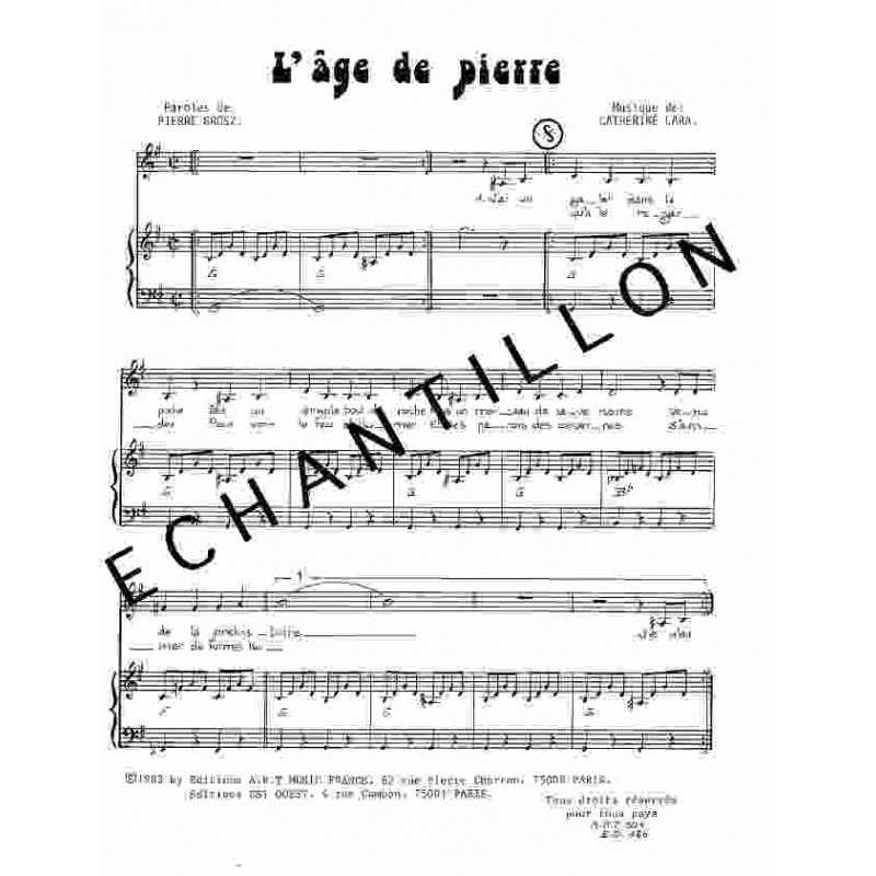 L'ÂGE DE PIERRE