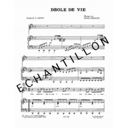 DRÔLE DE VIE