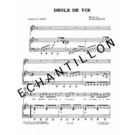 DRÔLE DE VIE