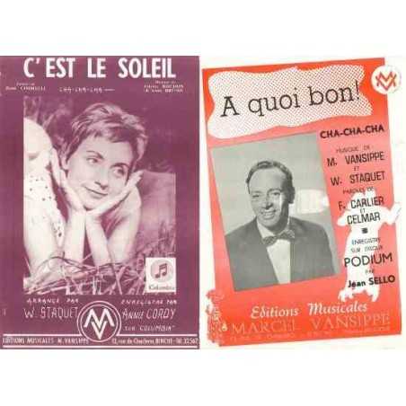 C'EST LE SOLEIL / A QUOI BON