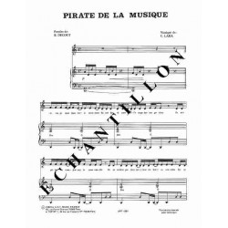 PIRATE DE LA MUSIQUE
