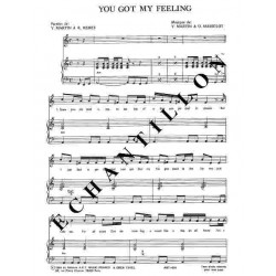 YOU GOT MY FEELING