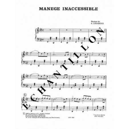 MANÈGE INACCESSIBLE