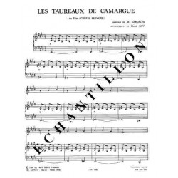 LES TAUREAUX DE CAMARGUE