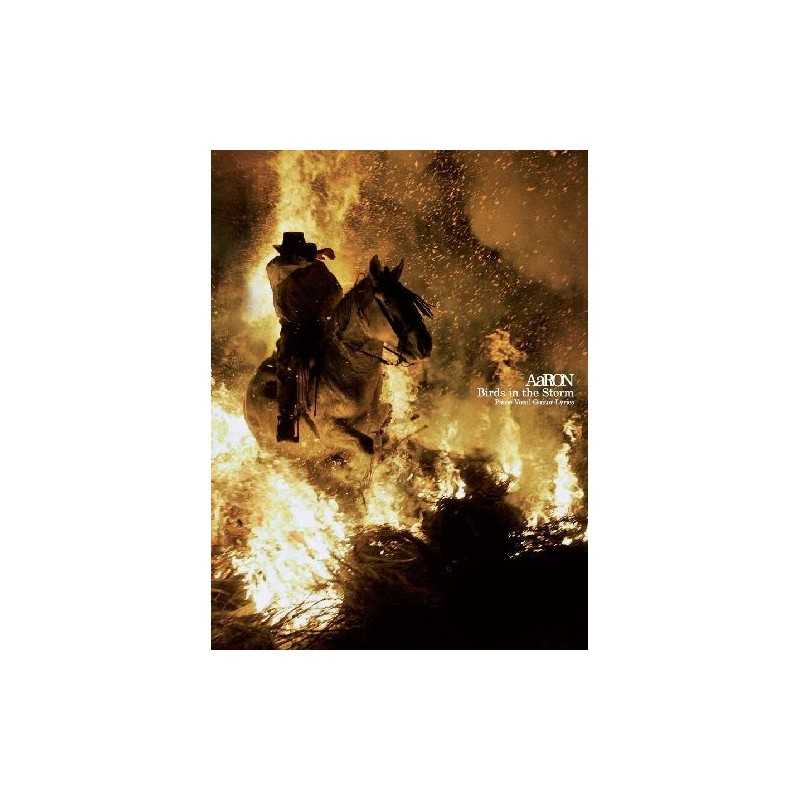 AARON - BIRDS IN STORM