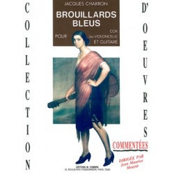 BROUILLARDS BLEUS