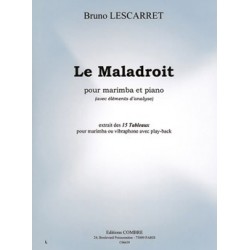 TABLEAUX (15) - LE MALADROIT (AVEC ÉLÉMENTS D'ANALYSE)