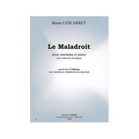 TABLEAUX (15) - LE MALADROIT (AVEC ÉLÉMENTS D'ANALYSE)
