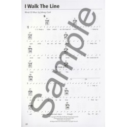 THE BLACK BOOK - GREAT SONGS FOR GUITAR CHORD SONGBOOK