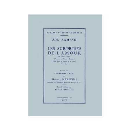 SURPRISES DE L'AMOUR