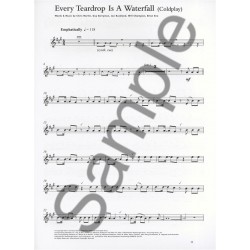 GUEST SPOT : ALL NEW CHART HITS PLAYALONG FOR FLUTE (+CD)