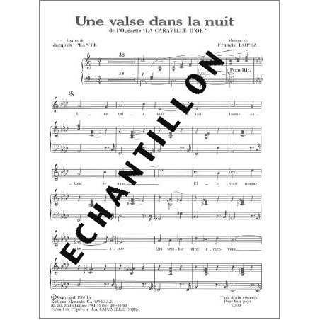UNE VALSE DANS LA NUIT