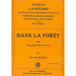 Dans la forêt