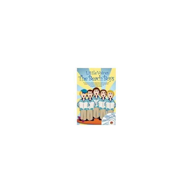 LITTLE VOICES THE BEACH BOYS