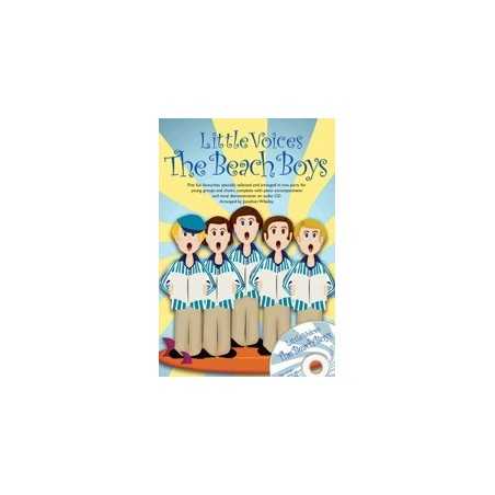 LITTLE VOICES THE BEACH BOYS