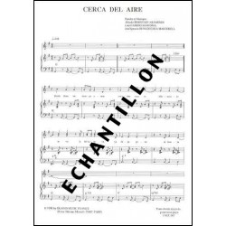 CERCA DEL AIRE