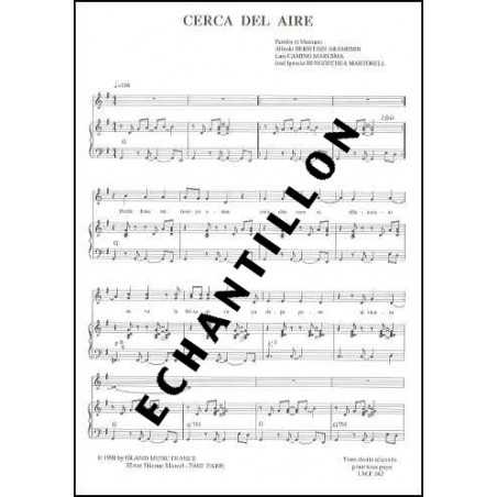 CERCA DEL AIRE