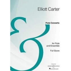 FLUTE CONCERTO