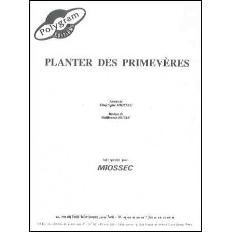 PLANTER DES PRIMEVÈRES