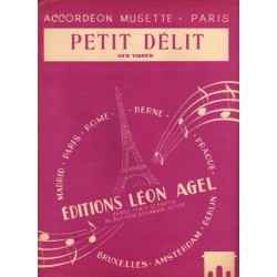 PETIT DÉLIT