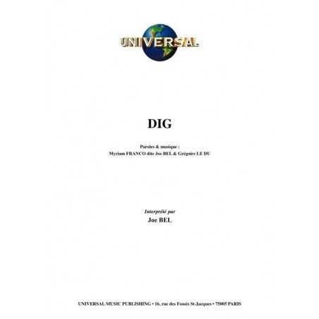 DIG