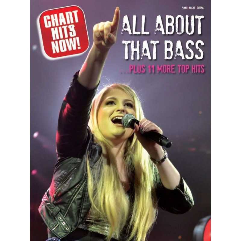 Partition CHART HITS NOW ! ALL ABOUT THAT BASS PLUS 11 MORE TOP HITS