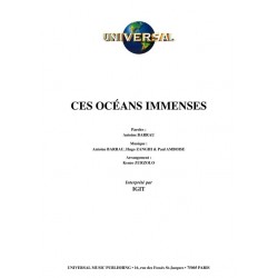 CES OCÉANS IMMENSES