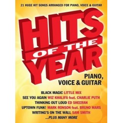 HITS OF THE YEAR 2015 (PVG)