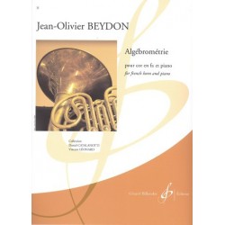 ALGÉBROMÉTRIE