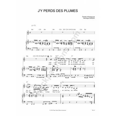 J'Y PERDS DES PLUMES