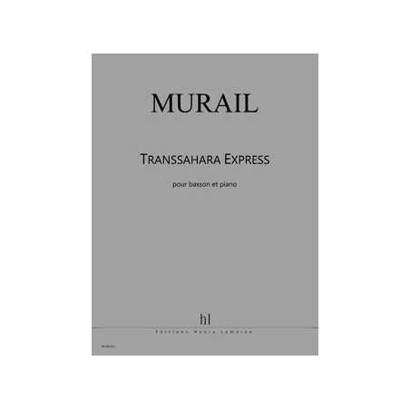 TRANSSAHARA EXPRESS