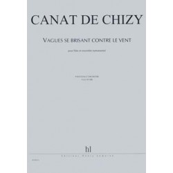 VAGUES SE BRISANT CONTRE LE...