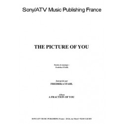 THE PICTURE OF YOU