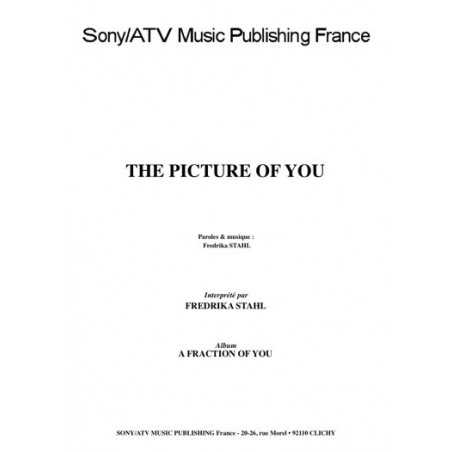 THE PICTURE OF YOU