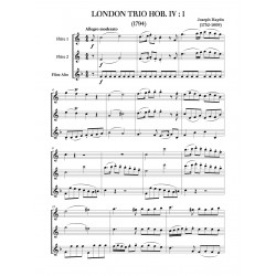 Sheet music HAYDN BEETHOVEN KUHLAU TRIOS YLC Flûte Édition