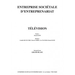 Partition TÉLÉVISION GRAND BLANC