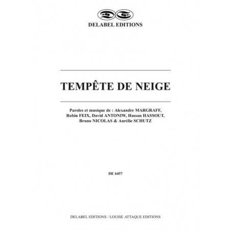 TEMPÊTE DE NEIGE