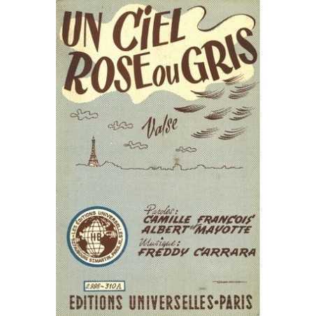 UN CIEL ROSE OU GRIS - BICHETTE