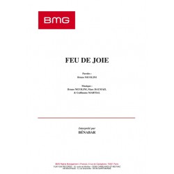 Sheet music FEU DE JOIE BÉNABAR