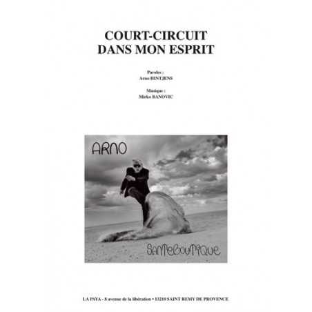 COURT-CIRCUIT DANS MON ESPRIT