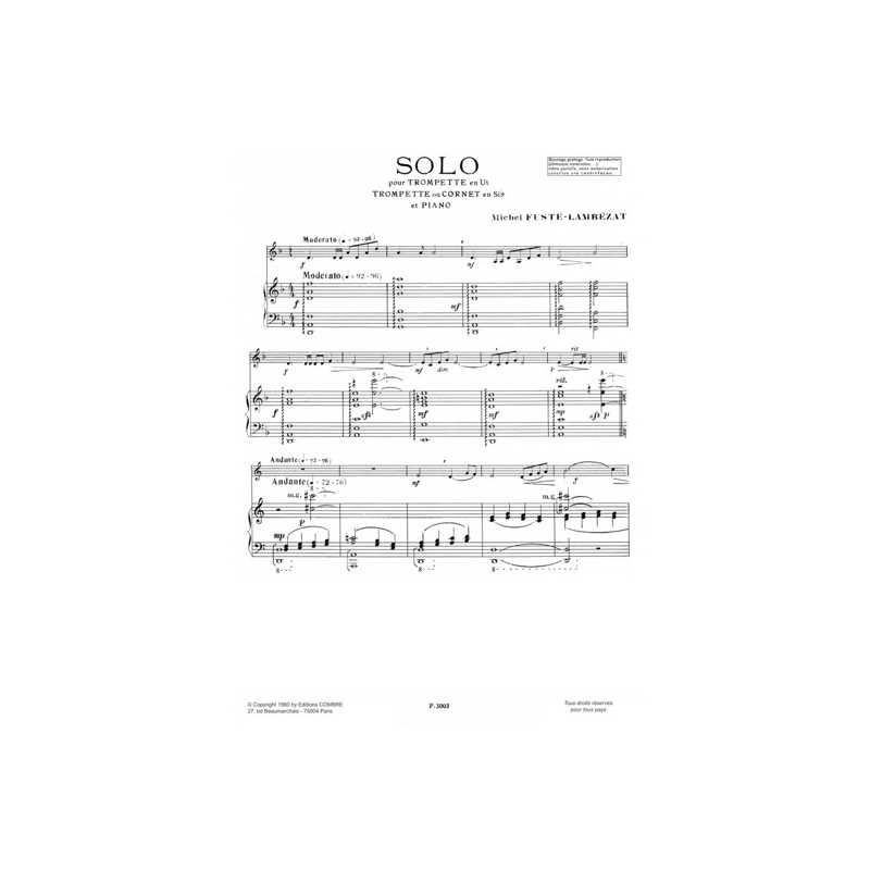 SOLO Michel FUSTÉ-LAMBÉZAT